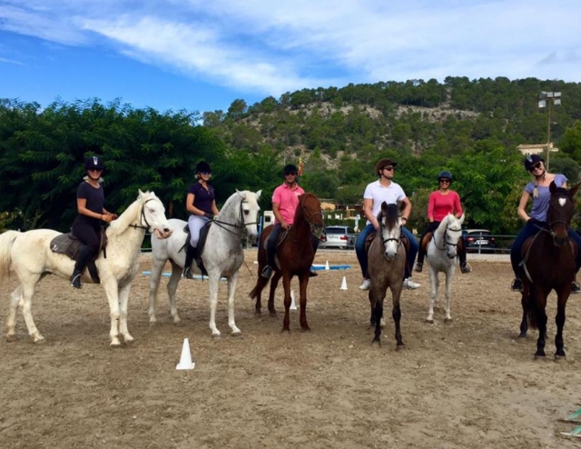 Repartidas en caballos